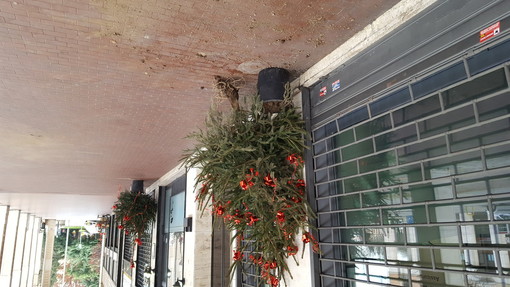 I controlli straordinari nella zona della stazione di Cuneo non fermano gli episodi di vandalismo