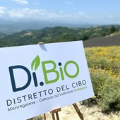 Il Distretto del Cibo Monregalese-Cebano si racconta a "Peccati di Gola" Il Distretto del Cibo Monregalese-Cebano si racconta a "Peccati di Gola"