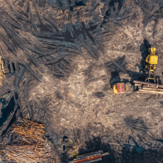 Immagine di repertorio