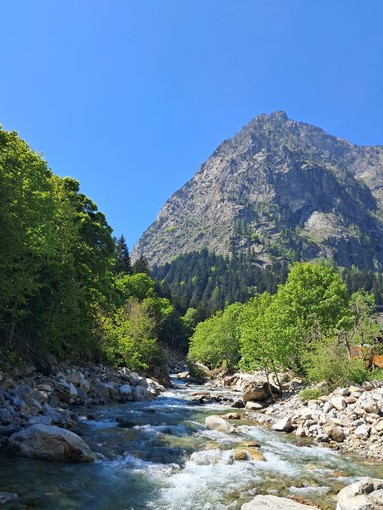 Comune di Valdieri: indetto il secondo esperimento d'asta per le riserve di pesca