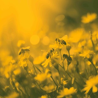 Immagine di repertorio Immagine di repertorio