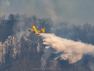 Foto di Enrico cavallo