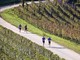 (foto fidal piemonte) (foto fidal piemonte)