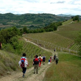 A Scuola di Terre Alte: al via a Pollenzo il nuovo progetto di Slow Food per i giovani della montagna A Scuola di Terre Alte: al via a Pollenzo il nuovo progetto di Slow Food per i giovani della montagna