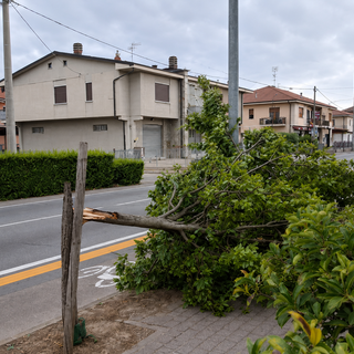 I danni causati dal maltempo nei giorni scorsi ad Alba I danni causati dal maltempo nei giorni scorsi ad Alba