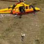 Roaschia, cade e si infortuna un braccio: recuperato e portato a valle [VIDEO]