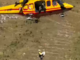 Roaschia, cade e si infortuna un braccio: recuperato e portato a valle [VIDEO]