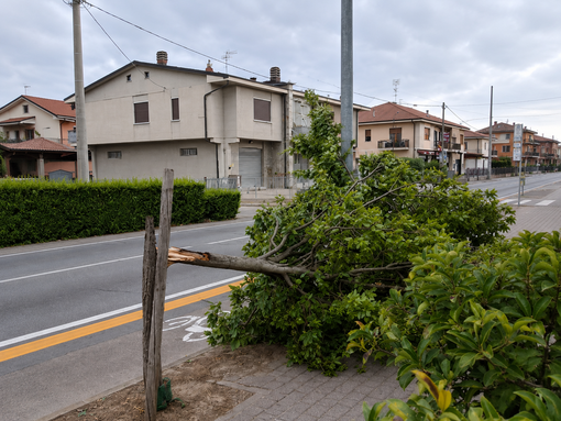 I danni causati dal maltempo nei giorni scorsi ad Alba I danni causati dal maltempo nei giorni scorsi ad Alba
