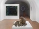 Saluzzo, alla Castiglia il finissage di "Tracciando il sentiero. Arte, ambiente e visioni del futuro", la Saluzzo, alla Castiglia il finissage di "Tracciando il sentiero. Arte, ambiente e visioni del futuro", la