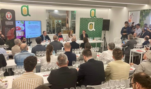 Un passato evento di Confagricoltura al Vinitaly di Verona Un passato evento di Confagricoltura al Vinitaly di Verona