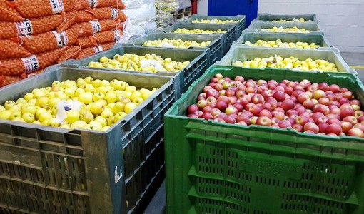 Comparto frutta, per Coldiretti Cuneo ci sono ancora squilibri del valore lungo la filiera