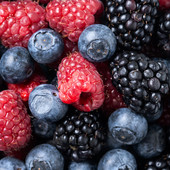 Il Piemonte punta sui piccoli frutti: a Saluzzo la 1ª edizione di Piemonte Berry