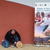 Un momento del "Lancio del Maiorchino" Un momento del "Lancio del Maiorchino"