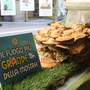 Mostra del Fungo di Ceva: un concorso dedicato ai giovani