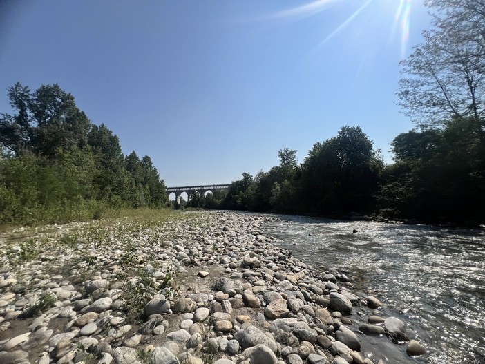 Il fiume Stura, ( foto scattate a fine giugno a Cuneo, zona delle Basse Sant'Anna)