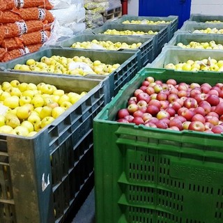 Comparto frutta, per Coldiretti Cuneo ci sono ancora squilibri del valore lungo la filiera
