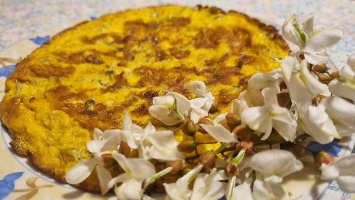 A Pocapaglia un trionfo di fiori di gaggia, ottimi per la frittata A Pocapaglia un trionfo di fiori di gaggia, ottimi per la frittata