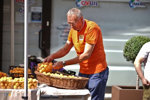 Sabato 11 e domenica 12 luglio la Fera d'la Tonda: Costigliole Saluzzo celebra l'Albicocca con due giorni di festa