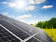 Fotovoltaico a terra, la Corte Costituzionale conferma il divieto nelle aree agricole Fotovoltaico a terra, la Corte Costituzionale conferma il divieto nelle aree agricole
