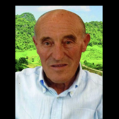 Franco Accamo Franco Accamo
