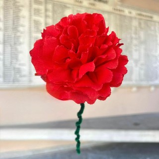 Boves celebra la pace con mille "Fiori di speranza": dal capolavoro di Picasso un progetto che unisce scuole e comunità Boves celebra la pace con mille "Fiori di speranza": dal capolavoro di Picasso un progetto che unisce scuole e comunità