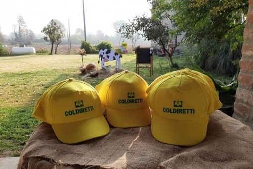 Fiera del Marrone, Coldiretti Cuneo: torna la scuola di campagna e la fattoria degli animali Fiera del Marrone, Coldiretti Cuneo: torna la scuola di campagna e la fattoria degli animali