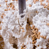 Torroni&Torroni: tre proposte per la calza della Befana Torroni&Torroni: tre proposte per la calza della Befana