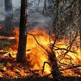 INCENDI / In Piemonte situazione in miglioramento, domani la riunione in Regione per l'emergenza idrica