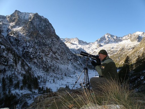 Immagini di repertorio Immagini di repertorio