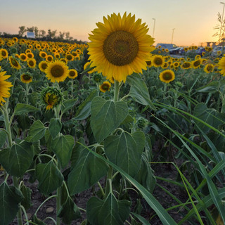 Foto di Beatrice Allocco