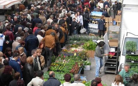 nel capoluogo torna l'attesissimo appuntamento con Cuneo in fiore