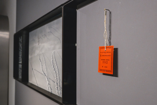 Essenza Bianca, nel cuore di Milano una mostra con le immagini di Prato Nevoso