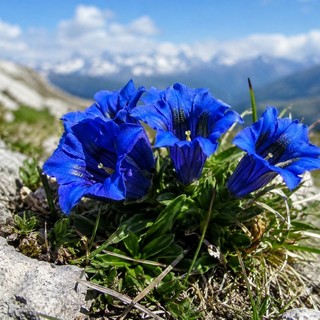 Immagine generata con l'AI Immagine generata con l'AI