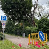 Il comitato Cuneo Centro storico favorevole all'abbattimento del faggio dei giardini Fresia Il comitato Cuneo Centro storico favorevole all'abbattimento del faggio dei giardini Fresia