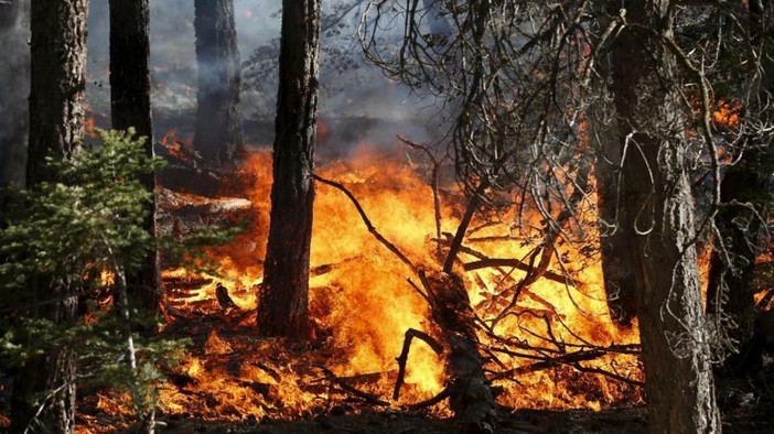 INCENDI / In Piemonte situazione in miglioramento, domani la riunione in Regione per l'emergenza idrica