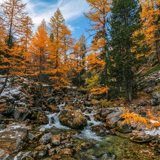 Foto di Valerio Minato