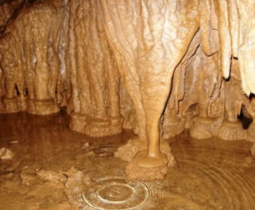 Frabosa, le Grotte del Caudano riaprono ai turisti: visite guidate da sabato 1 agosto Frabosa, le Grotte del Caudano riaprono ai turisti: visite guidate da sabato 1 agosto