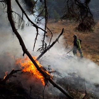 Stop allo stato di massima pericolosità per incendi boschivi in Piemonte