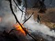 Autunno 2017, in fiamme 9700 ettari di bosco: &quot;piano straordinario&quot; di ripristino entro il 2018