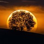 Il fenomeno ottico noto come illusione lunare (foto di Valerio Minato)