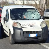 Investiti da un furgone sulla Statale 28 tra Ceva e Lesegno: muore un diciottenne, grave in ospedale l’altro pedone Investiti da un furgone sulla Statale 28 tra Ceva e Lesegno: muore un diciottenne, grave in ospedale l’altro pedone