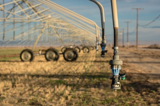 Crisi idrica, Confcooperative Piemonte: "Salvare i raccolti e aprire un tavolo permanente sull'acqua"