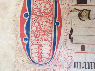Particolare del Manoscritto Particolare del Manoscritto