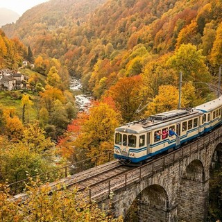 Treno del Foliage: 52 chilometri tra i colori dell'autunno