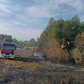 Chiusa Pesio, vasto incendio di sterpaglie in Regione Vigne Soprane: intervenuti quattro mezzi Chiusa Pesio, vasto incendio di sterpaglie in Regione Vigne Soprane: intervenuti quattro mezzi