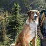 Celle di Macra, 	Cineforum per bambini, famiglie e adulti domenica 21 giugno