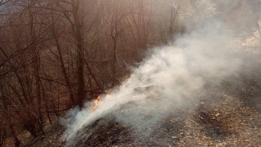 Immagine di repertorio