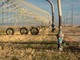 Crisi idrica, Confcooperative Piemonte: "Salvare i raccolti e aprire un tavolo permanente sull'acqua"