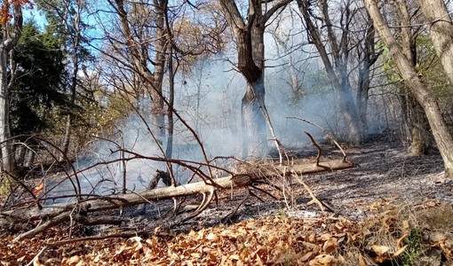 Immagine di repertorio