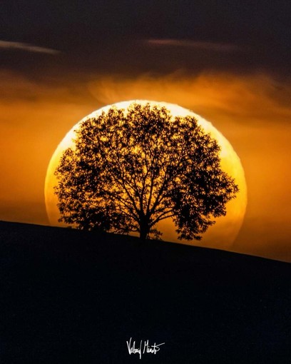 Il fenomeno ottico noto come illusione lunare (foto di Valerio Minato) Il fenomeno ottico noto come illusione lunare (foto di Valerio Minato)